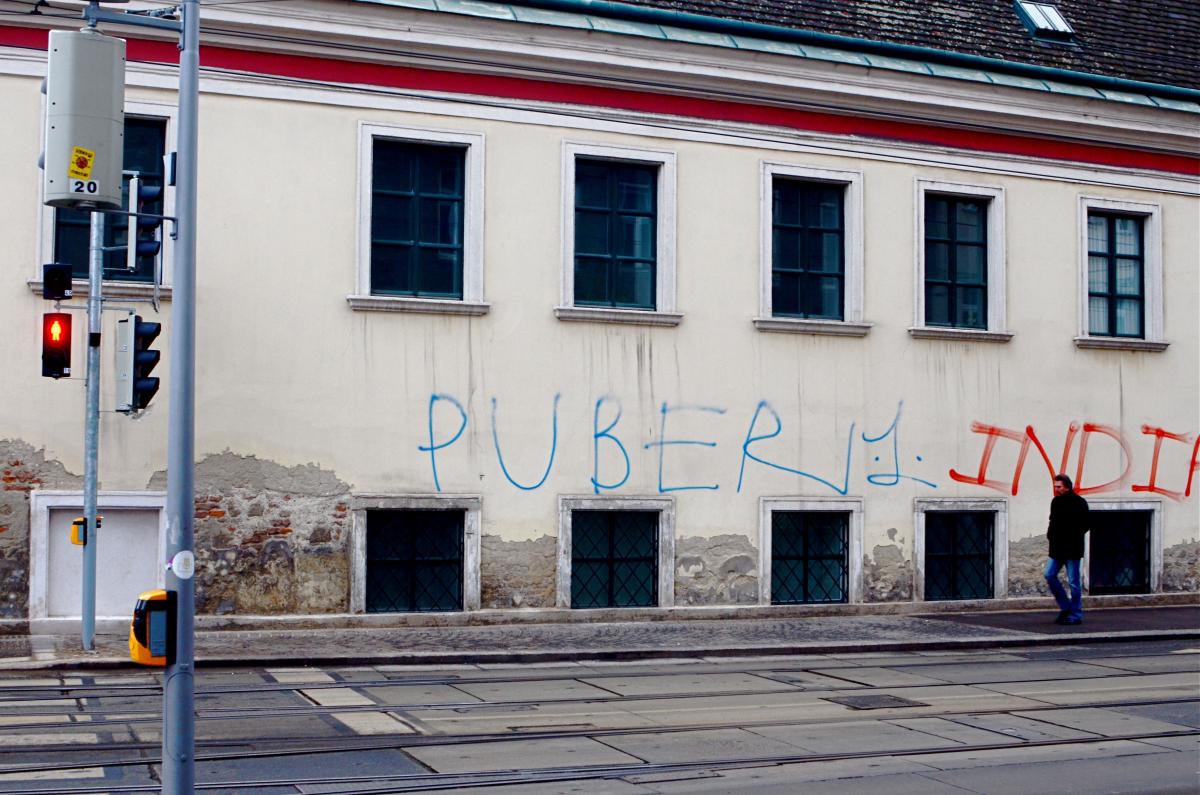 Zürcher Graffiti auf Wiener Hauswänden Bernhard Odehnal
